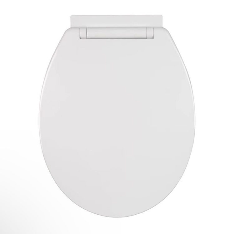Siège de toilette de salle de bains
