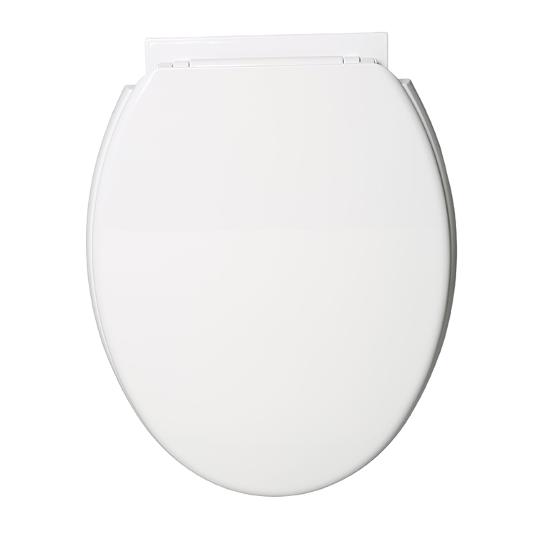 Siège de toilette en plastique