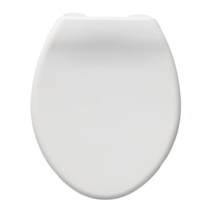 Siège de toilette en plastique blanc